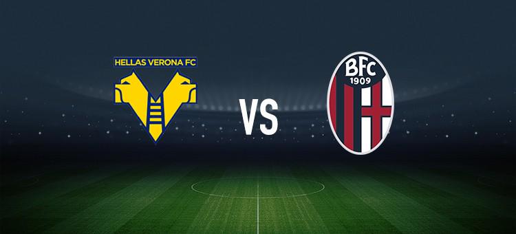 美融合的盛 美融合的盛