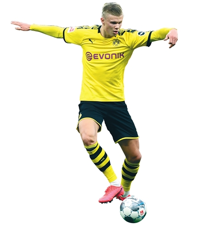 结构化展示 结构化展示